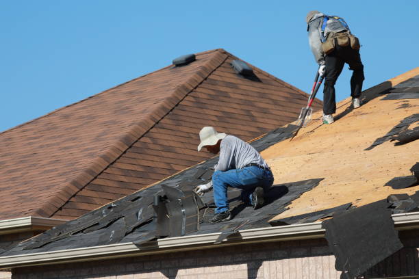 Best Siding  in Keene, TX